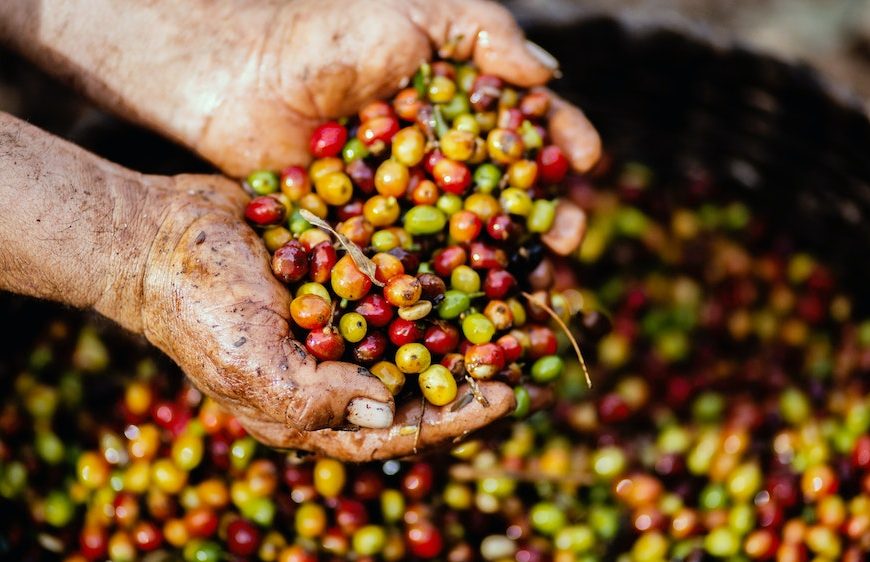 Best Ground Coffee for Espresso Machine